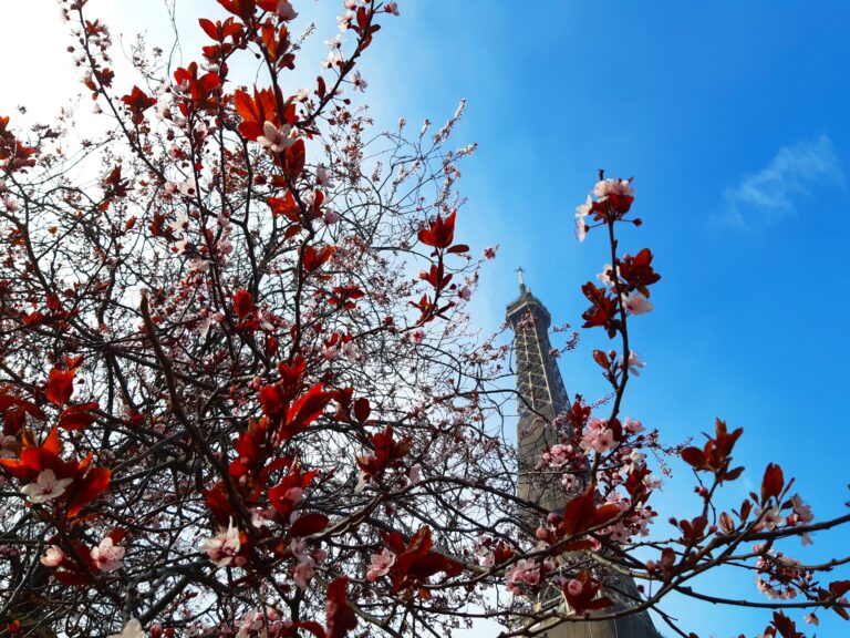 Springtime, 1paris, France, Europe