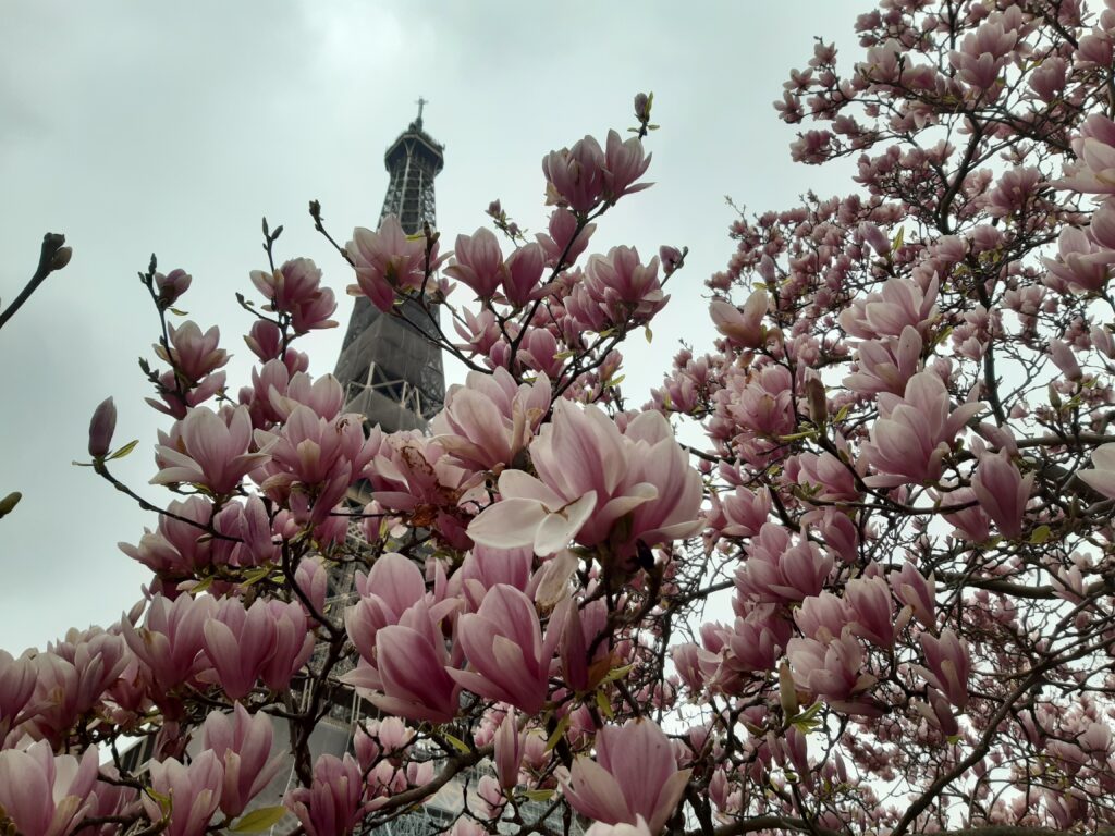 Paris, France, springtime, Europe