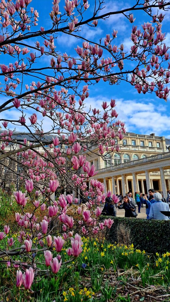 Paris, France, springtime, Europe