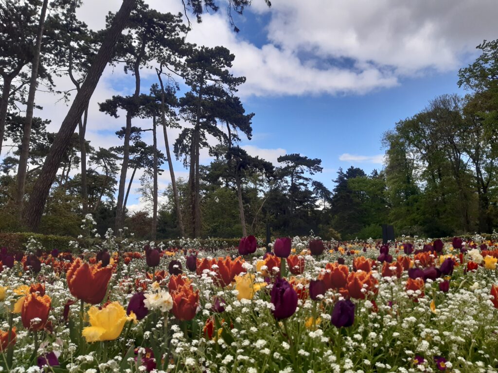 Paris, France, springtime, Europe